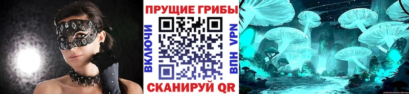 Галлюциногенные грибы ЛСД  Комсомольск-на-Амуре 